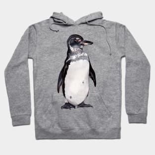 Galapagos Penguin Hoodie